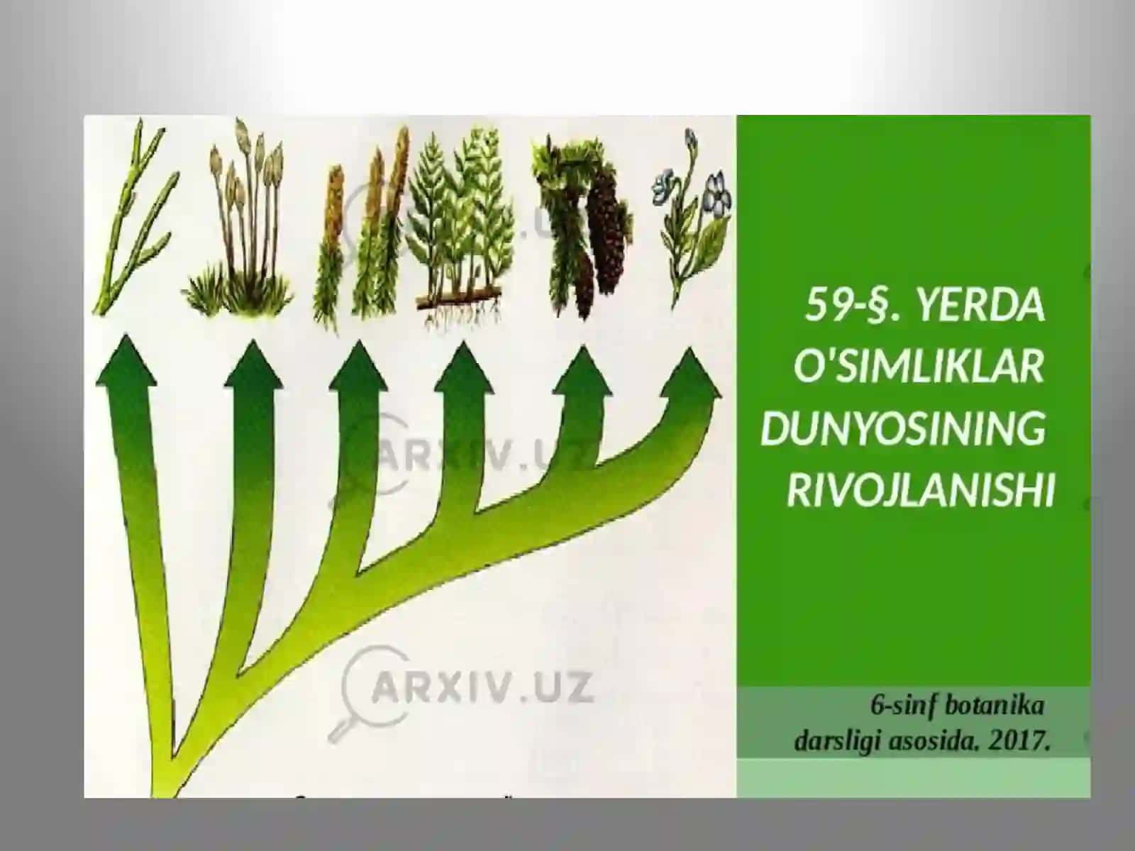 YERDAO’SIMLIKLAR DUNYOSINING RIVOJLANISHI 2