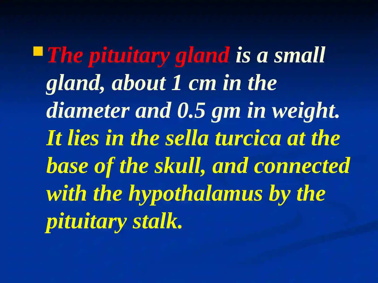 Pituitary glands 2