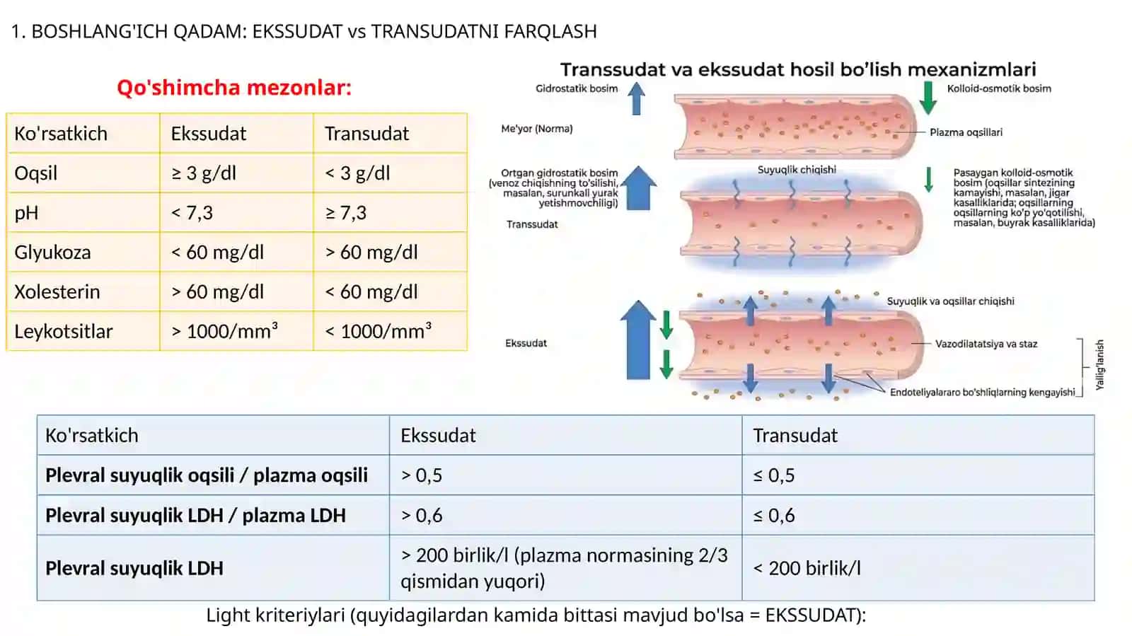 Plevral ekssudat asosida differensial diagnostika 2