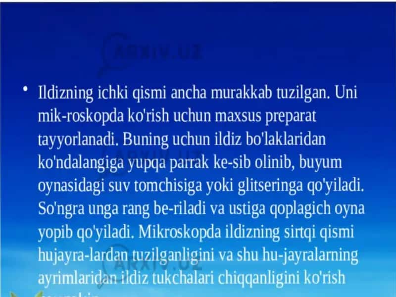Ildiz turlari va tizimlari 2