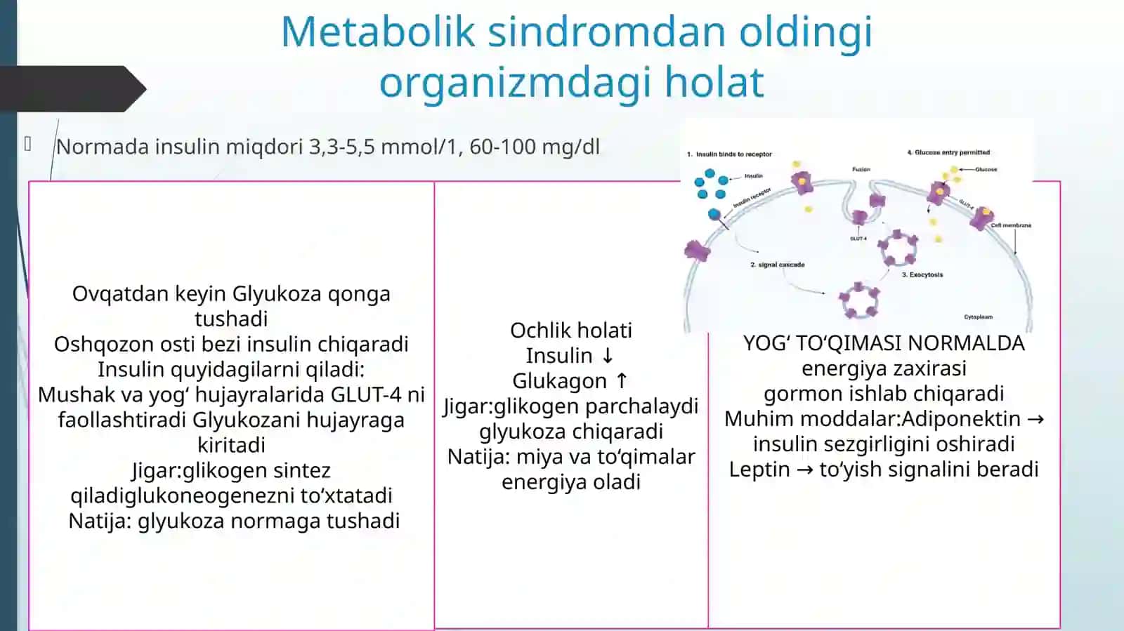 Metabolik sindrom kelib chiqishining biokimyoviy asoslari va asoratlari 2