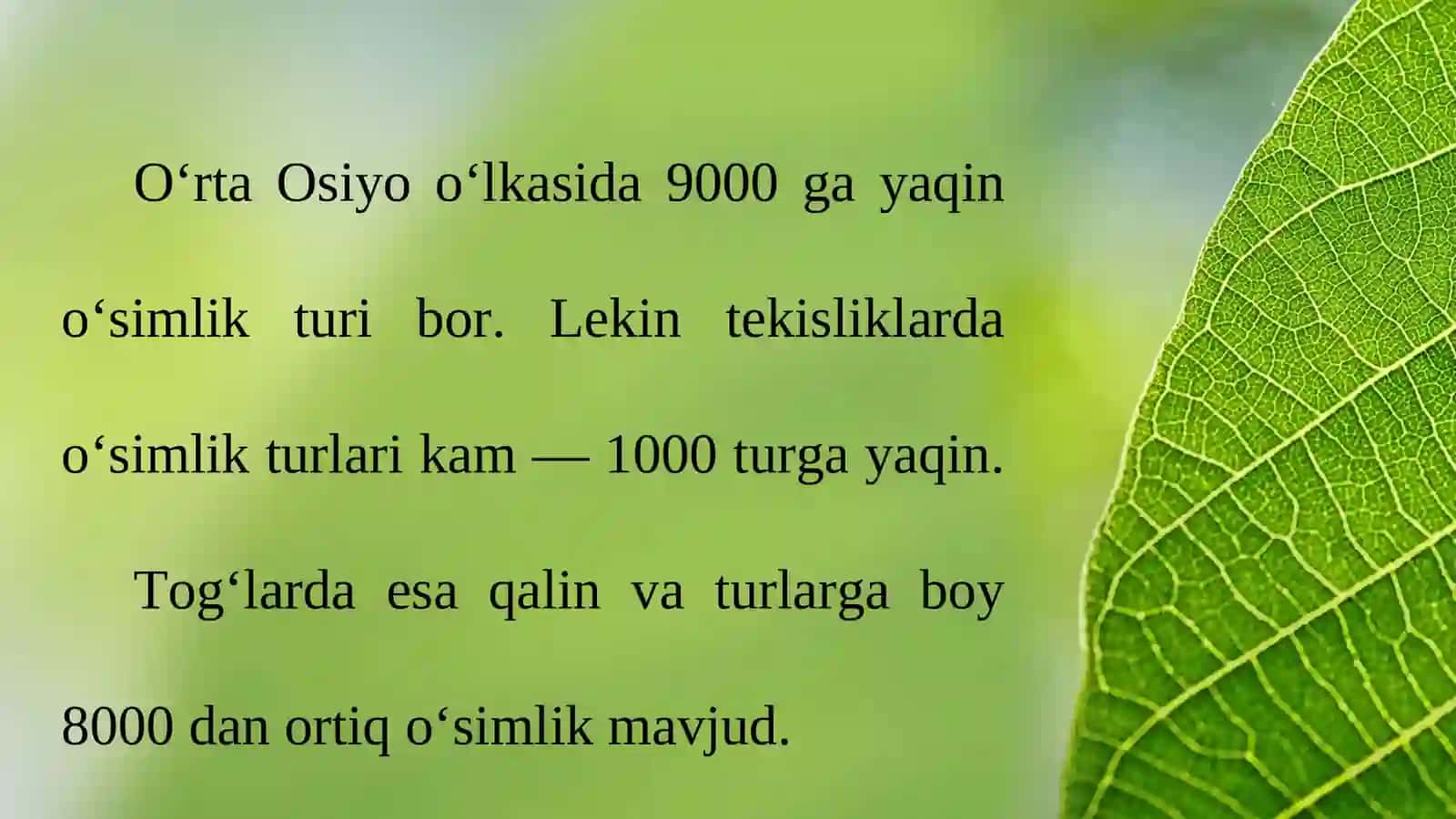 O‘rta Osiyo o‘simliklari 2