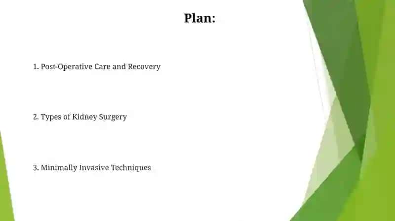 Kidney surgery 2