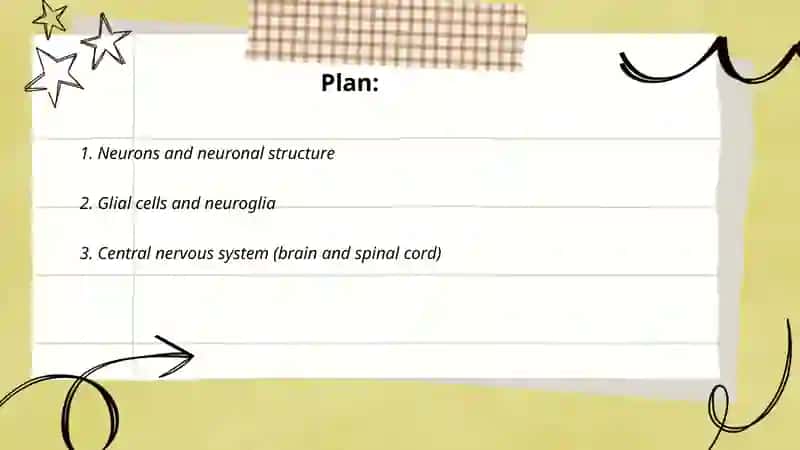 Nervous system 2
