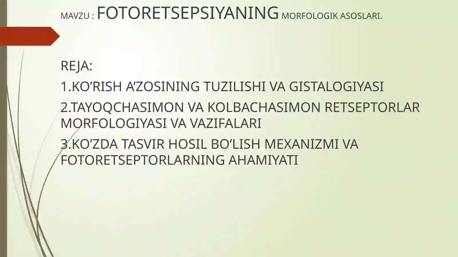 FOTORETSEPSIYANING MORFOLOGIK ASOSLARI 2