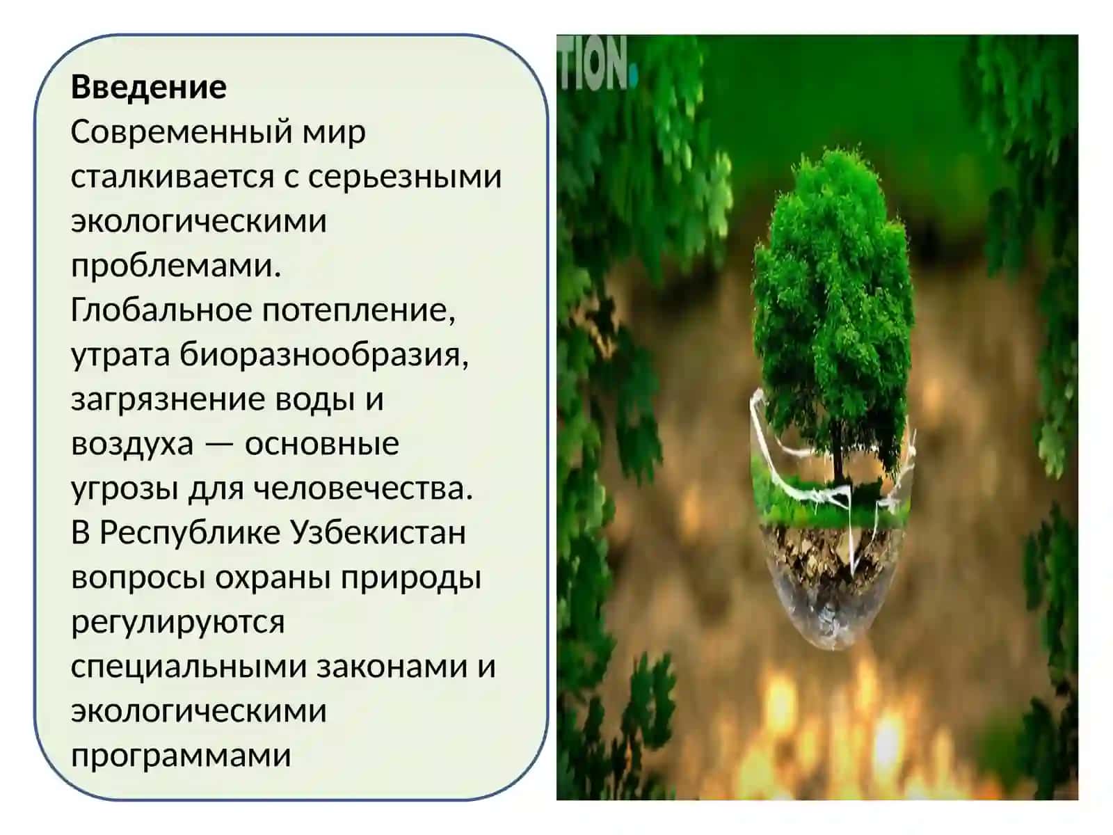 Экологические исследования и охрана окружающей среды 2