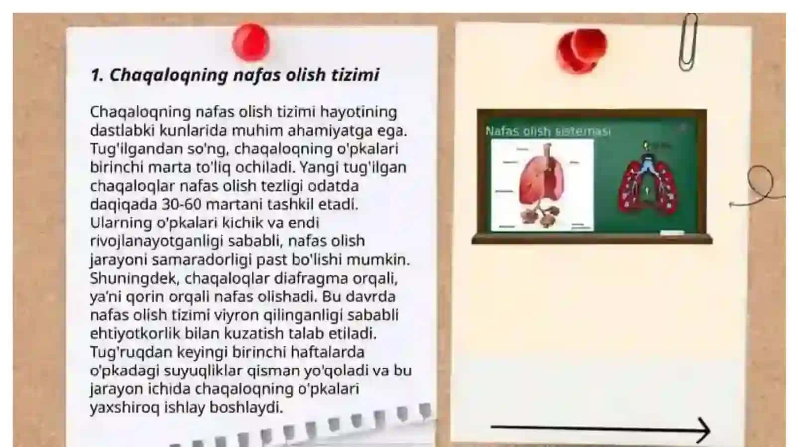 Ko'p tarmoqli tibbiyot texnikumi 2