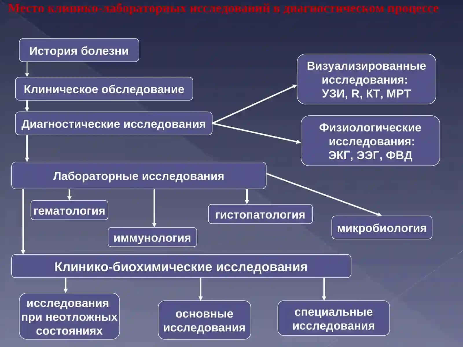 Место клинико-лабораторных исследований в диагностическом процессе 2