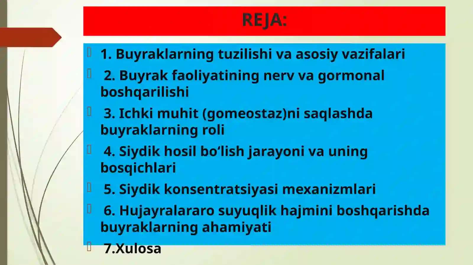 Buyraklar faoliyatining boshqarilishi. Ichki muhitning tarkibi va xajmi boshkarishida buyraklarning ahamiyati. Siydik konsentratsiyasi va xujayralararo suyuqlikni boshqarilishi 2