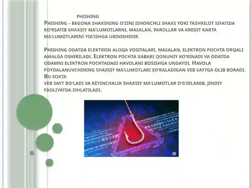 Phishing tushunchasi va predmeti 2
