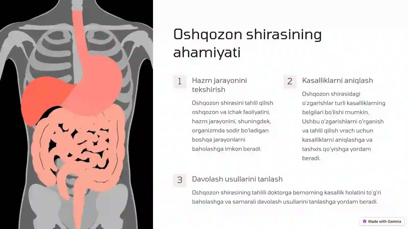 Oshqozon shirasini interpretatsiyasi 2