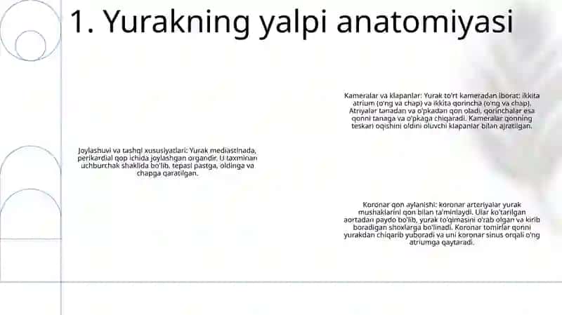 Yurak Va Qon Tomir Sistemalarining Tuzilishi Va Topografiyasi 2