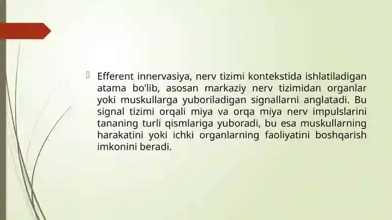Efferent innervasiya haqida tushuncha 2