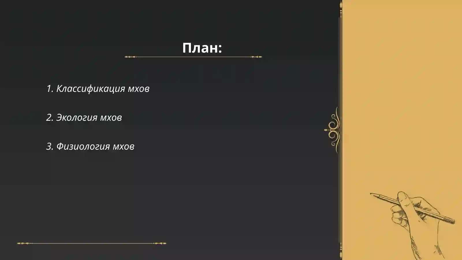 Отдел мхов 2