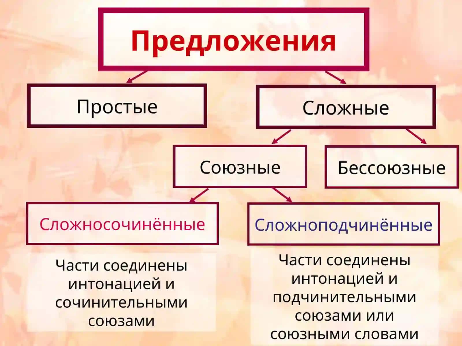 Сложноподчиненное предложение 2