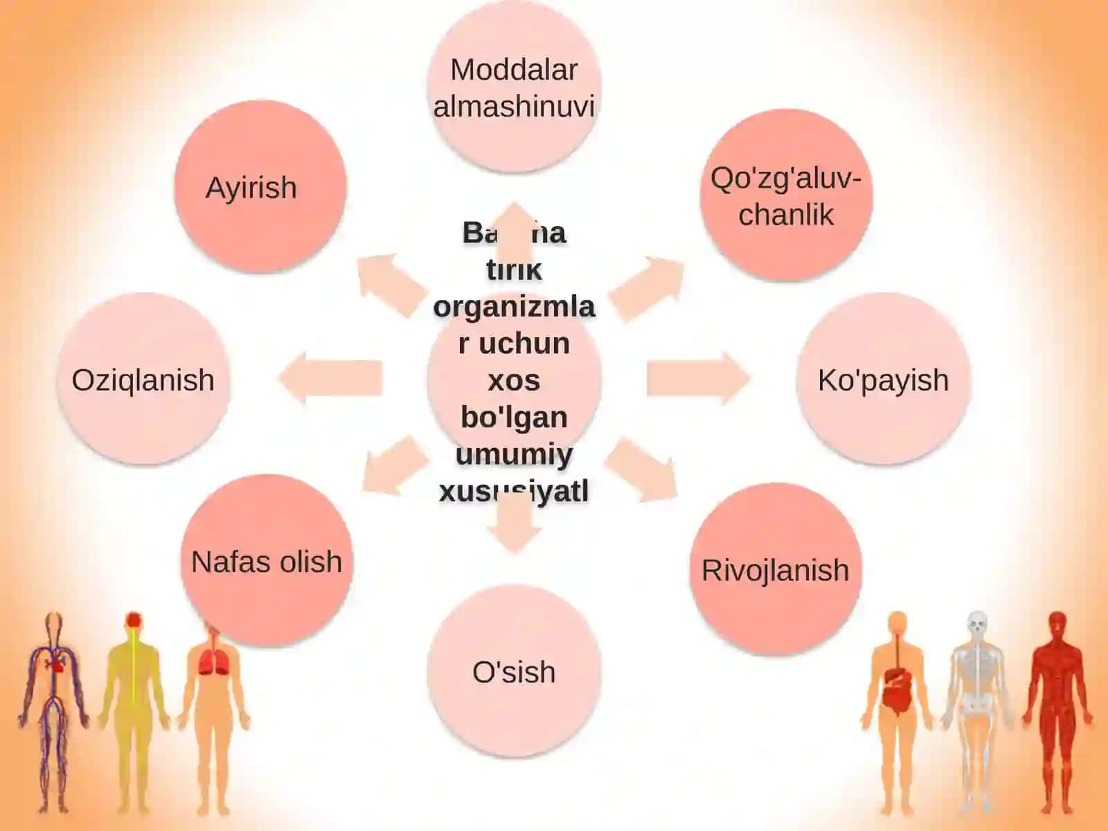 Hujayra va organizmning hayotiy xossalari 2