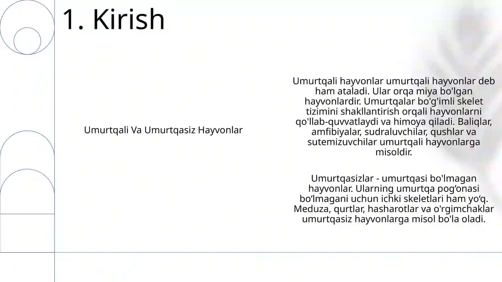 Umurtqali Va Umurtqasiz Hayvonlarni Rivojlanishi 2