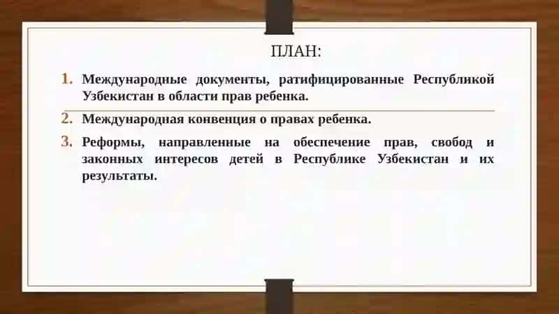 МЕЖДУНАРОДНЫЕ ДОКУМЕНТЫ И НАЦИОНАЛЬНЫЕ МЕХАНИЗМЫ ПО ЗАЩИТЕ ПРАВ ДЕТЕЙ 2