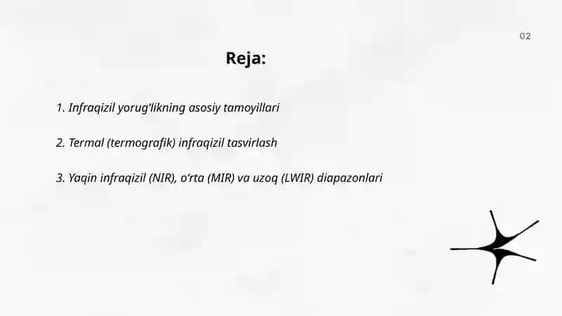 Infraqizil yorugʻlik yordamida tasvir hosil qilish 2