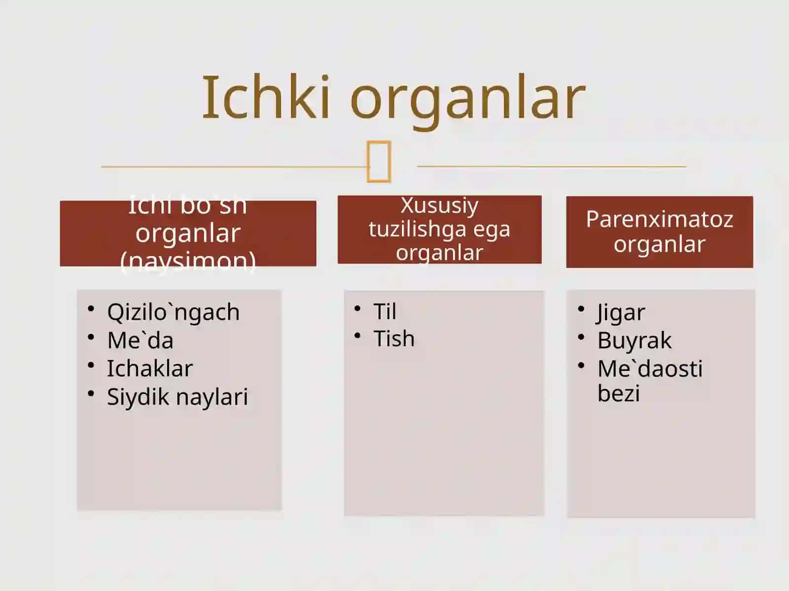 Splanxnologiya Ichki a'zolar haqida 2
