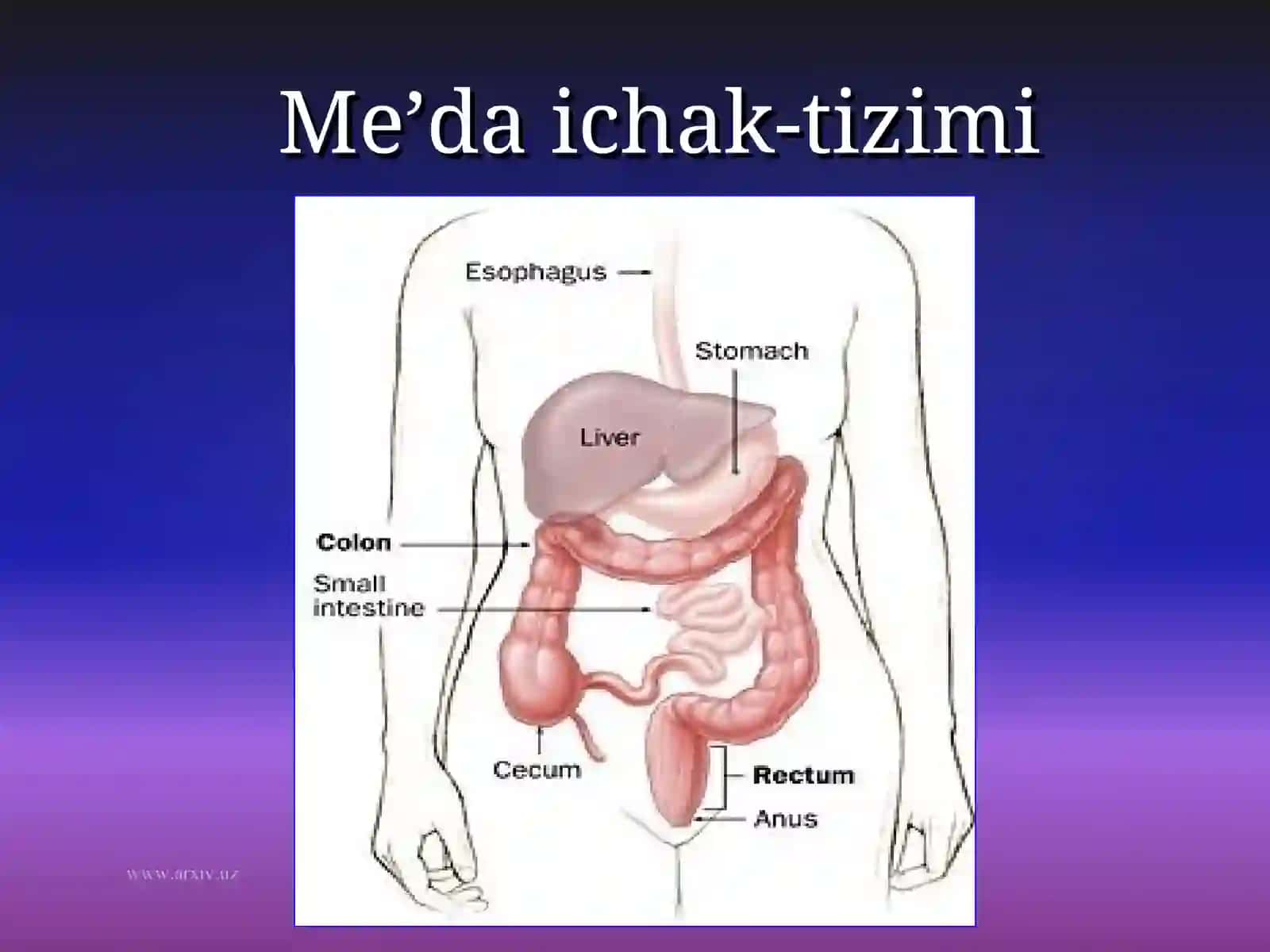 Meda osti bezi kista va oqmalari 2