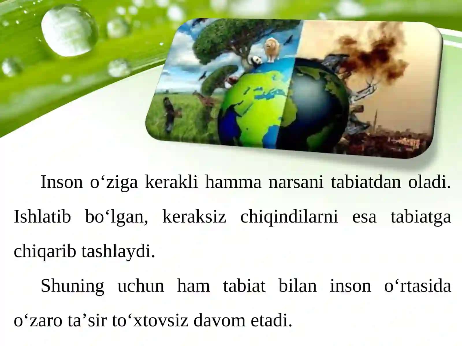 O‘rta osiyoning ekologik muammolari va tabiatini muhofaza qilish 2