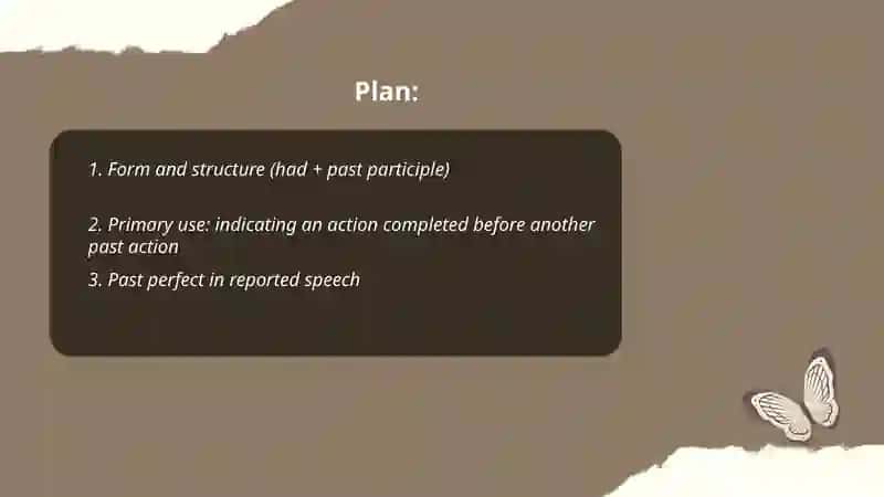 Past perfect tense 2