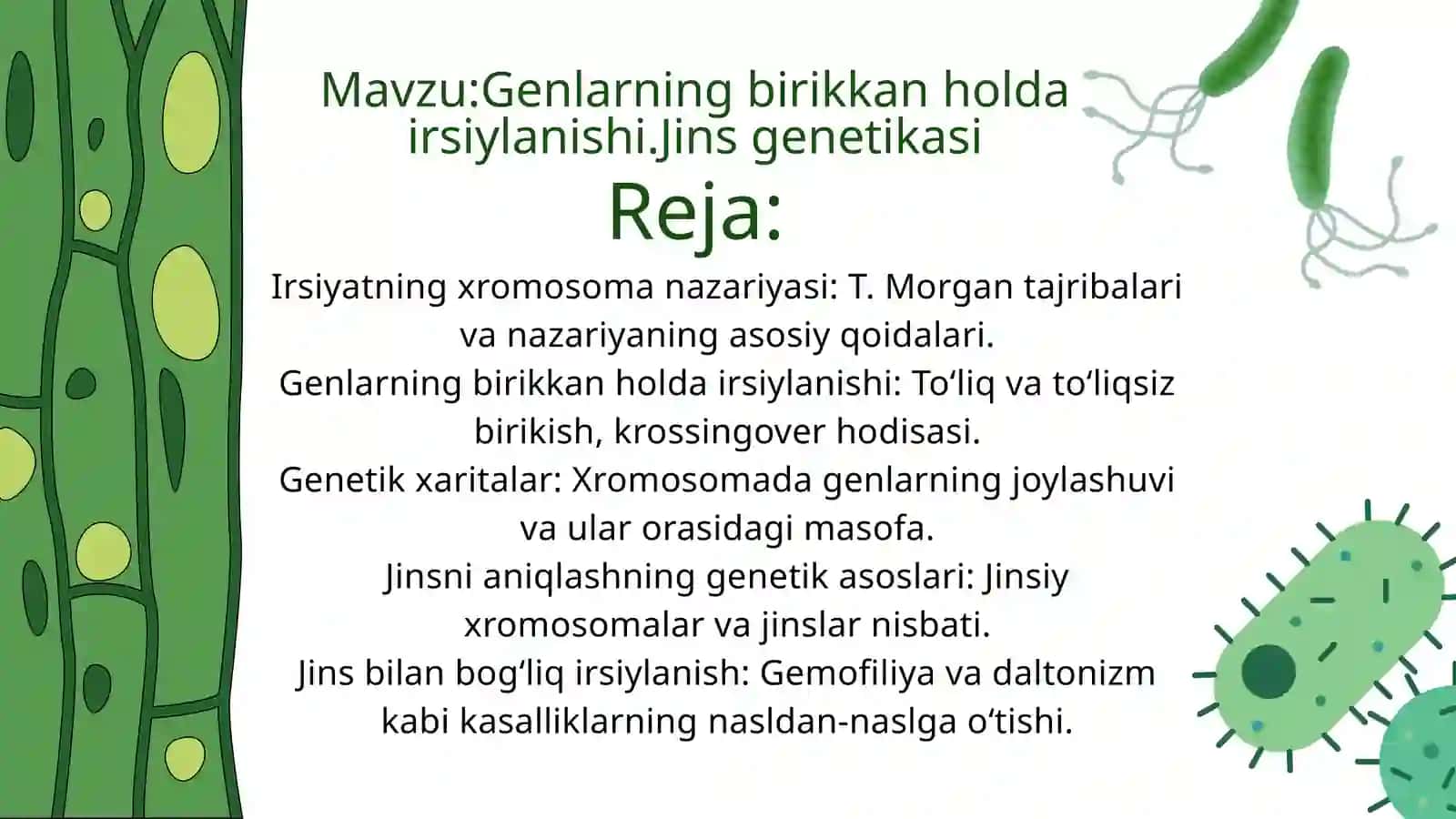 Irsiyatning xromosoma nazariyasi: T. Morgan tajribalari va nazariyaning asosiy qoidalari 2
