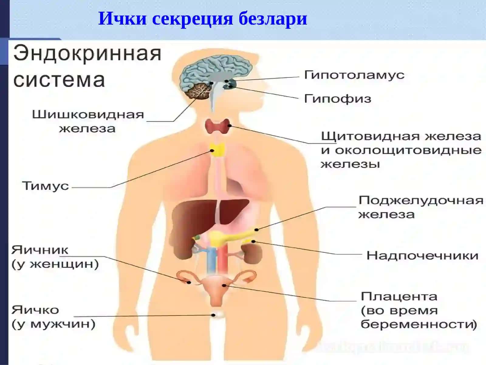 Йод моддаси 2