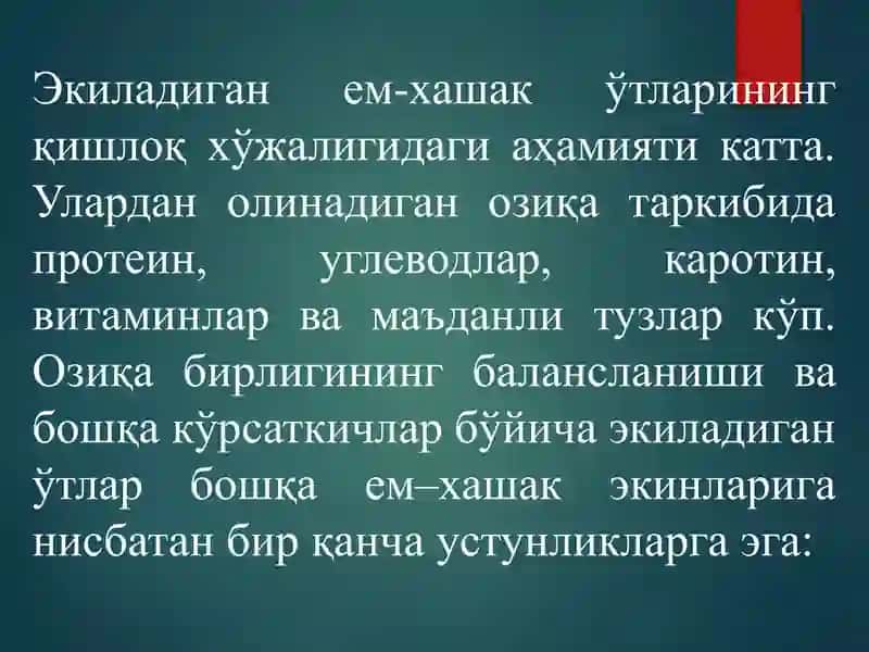Дуккаклием-хашак экинлари аҳамияти 2