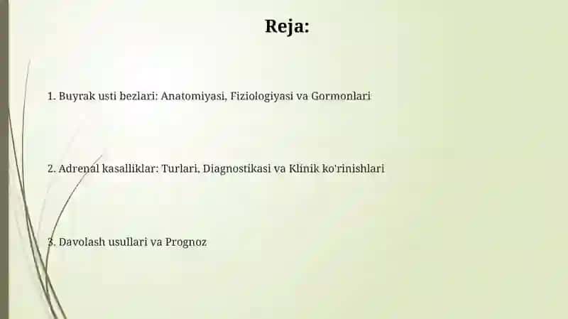 Buyrak osti bezlari 2
