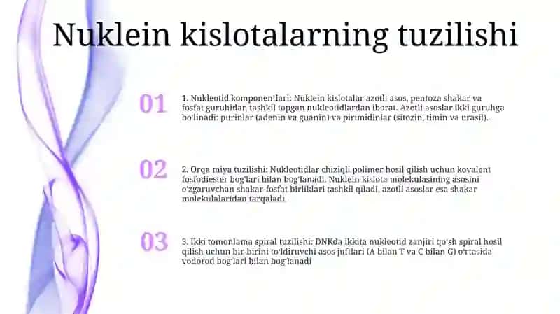 Nuklein Kislotalarning Tuzilishi Va Fizik Kimyoviy Xossalari Strukturasi 2