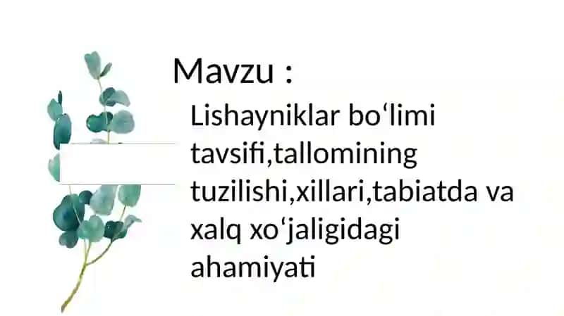 Lishayniklar (Lotincha: Lichenes) 2