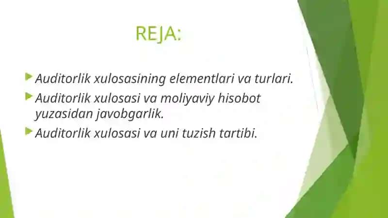 Auditorlik xulosasi 2