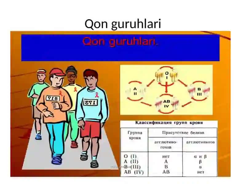 Qon guruhlari (Rezus faktor. Qon quyish asoslari) 2