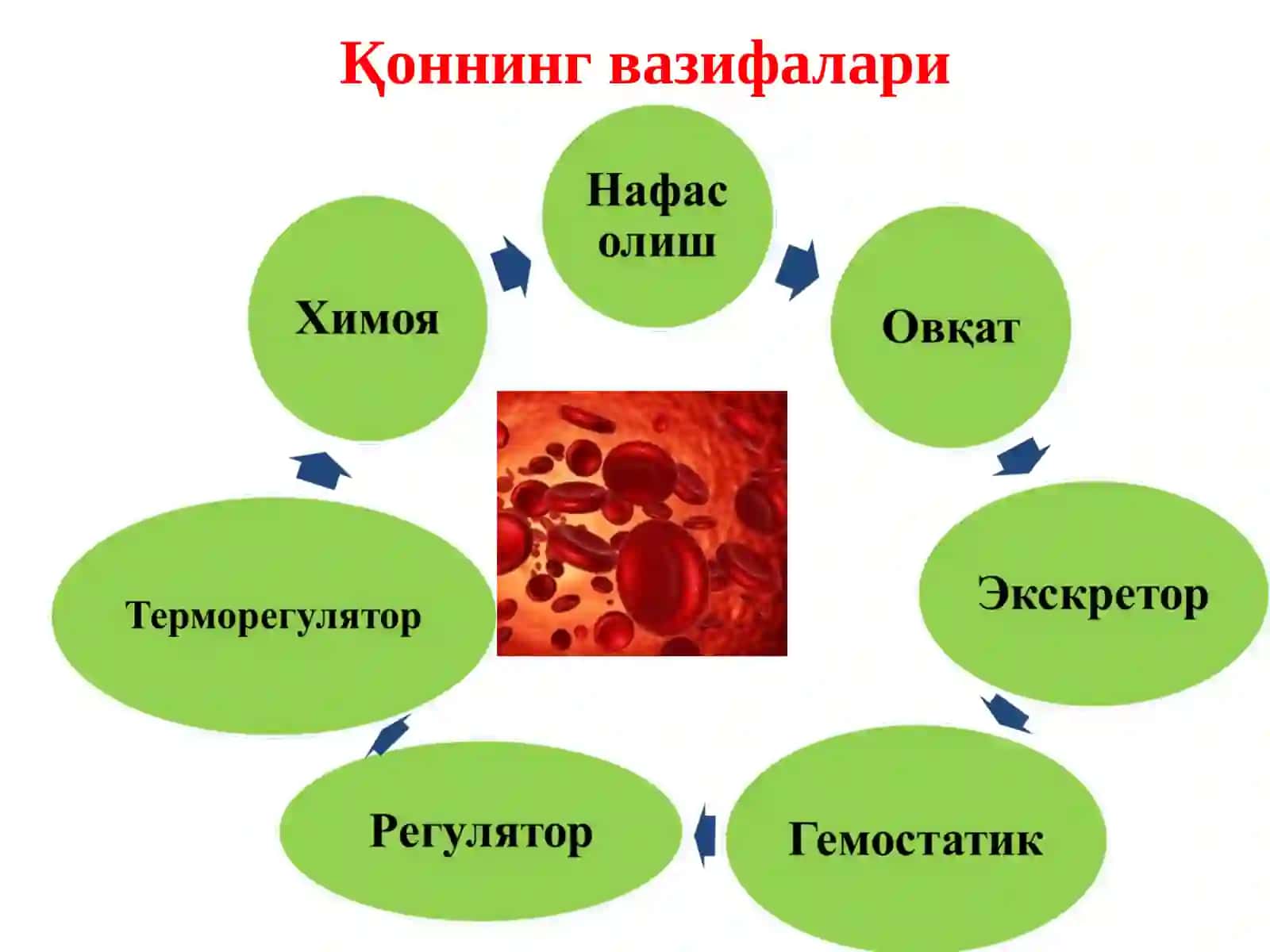 Анемия 2