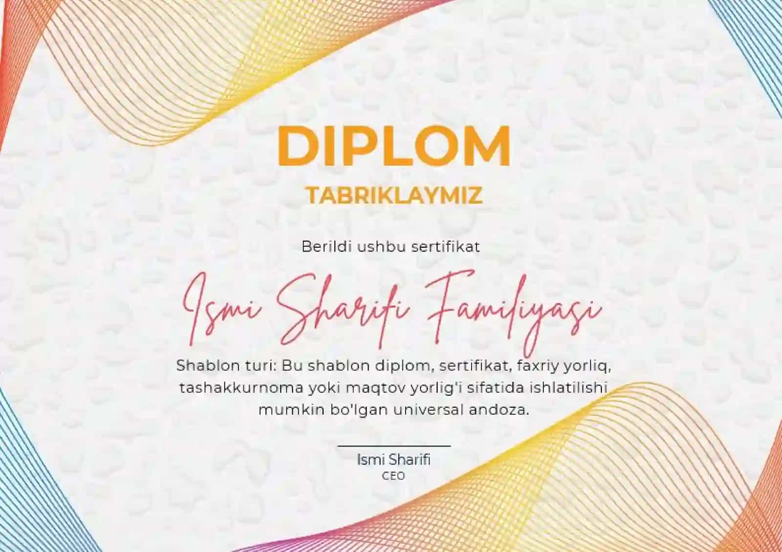DIPLOM 2