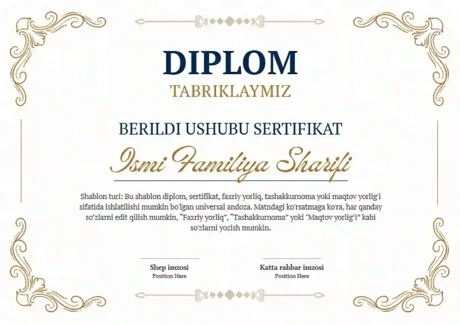 DIPLOM 2