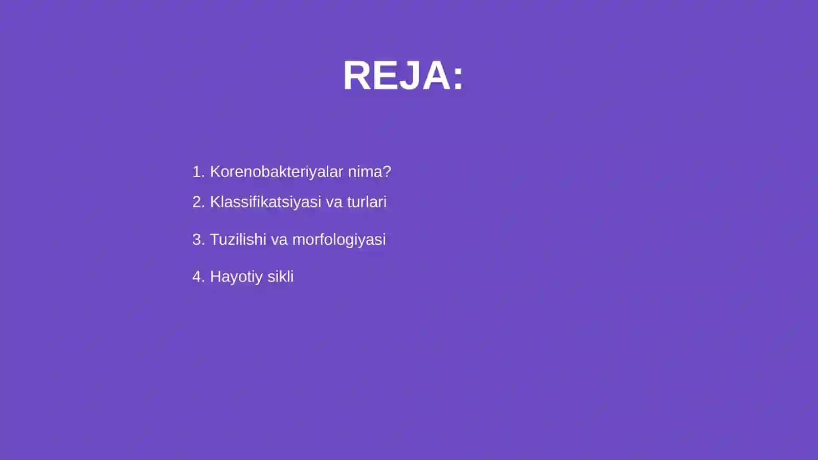 Korenobakteryalar 2