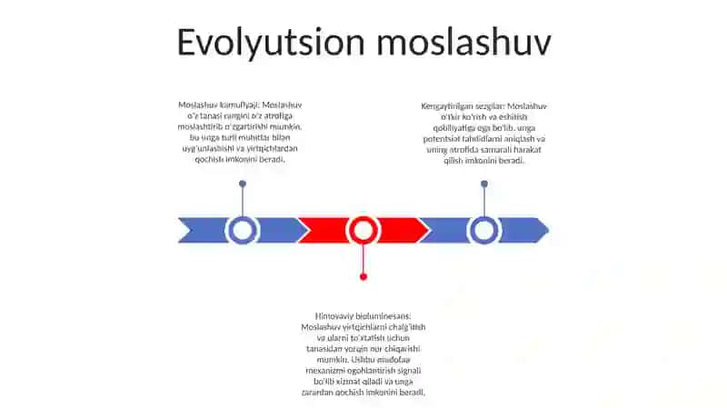 Moslashuv 2