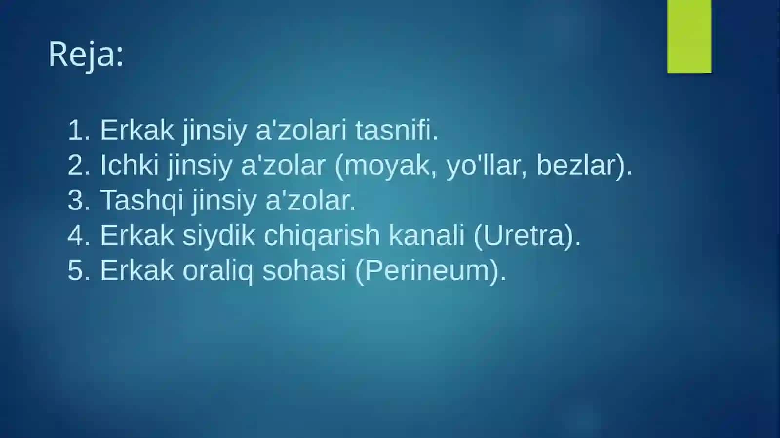 Reproduktiv tizim. Erkak jinsiya'zolarining funksional anatomiyasi 2
