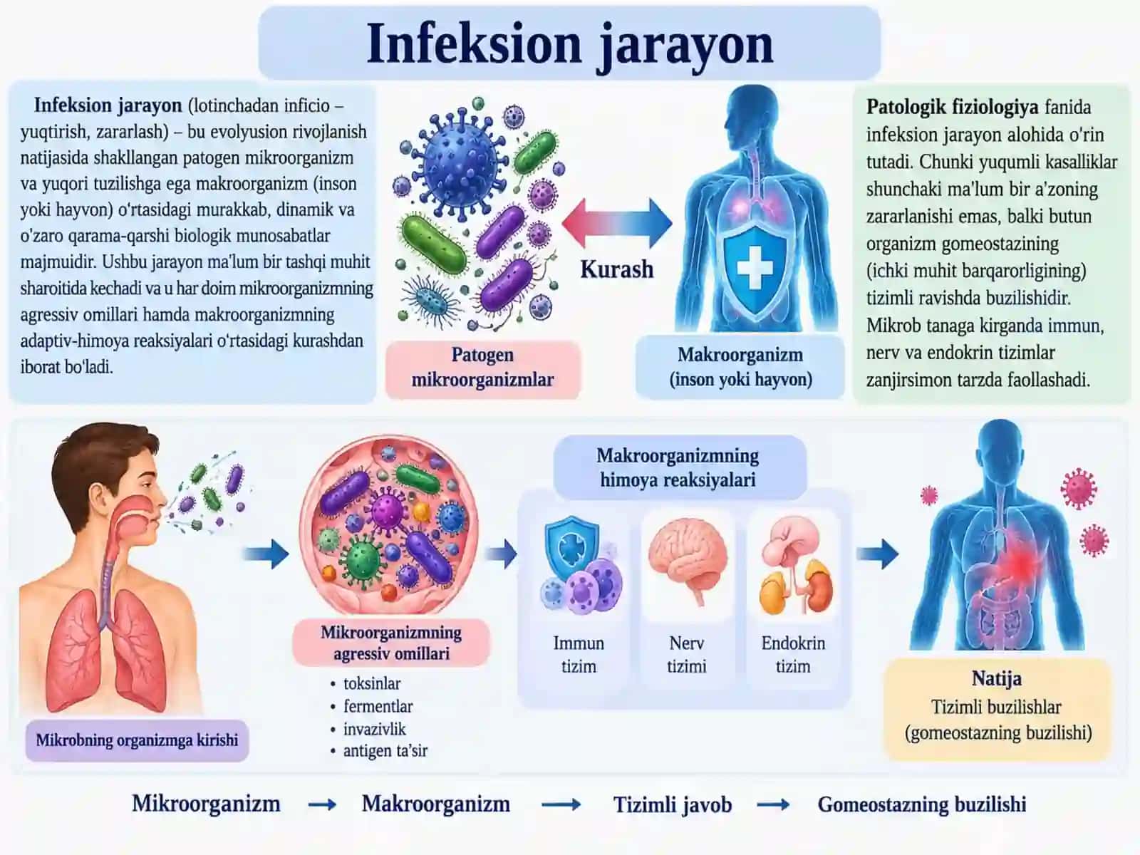 Umumiy infeksion jarayon haqida tushuncha 2