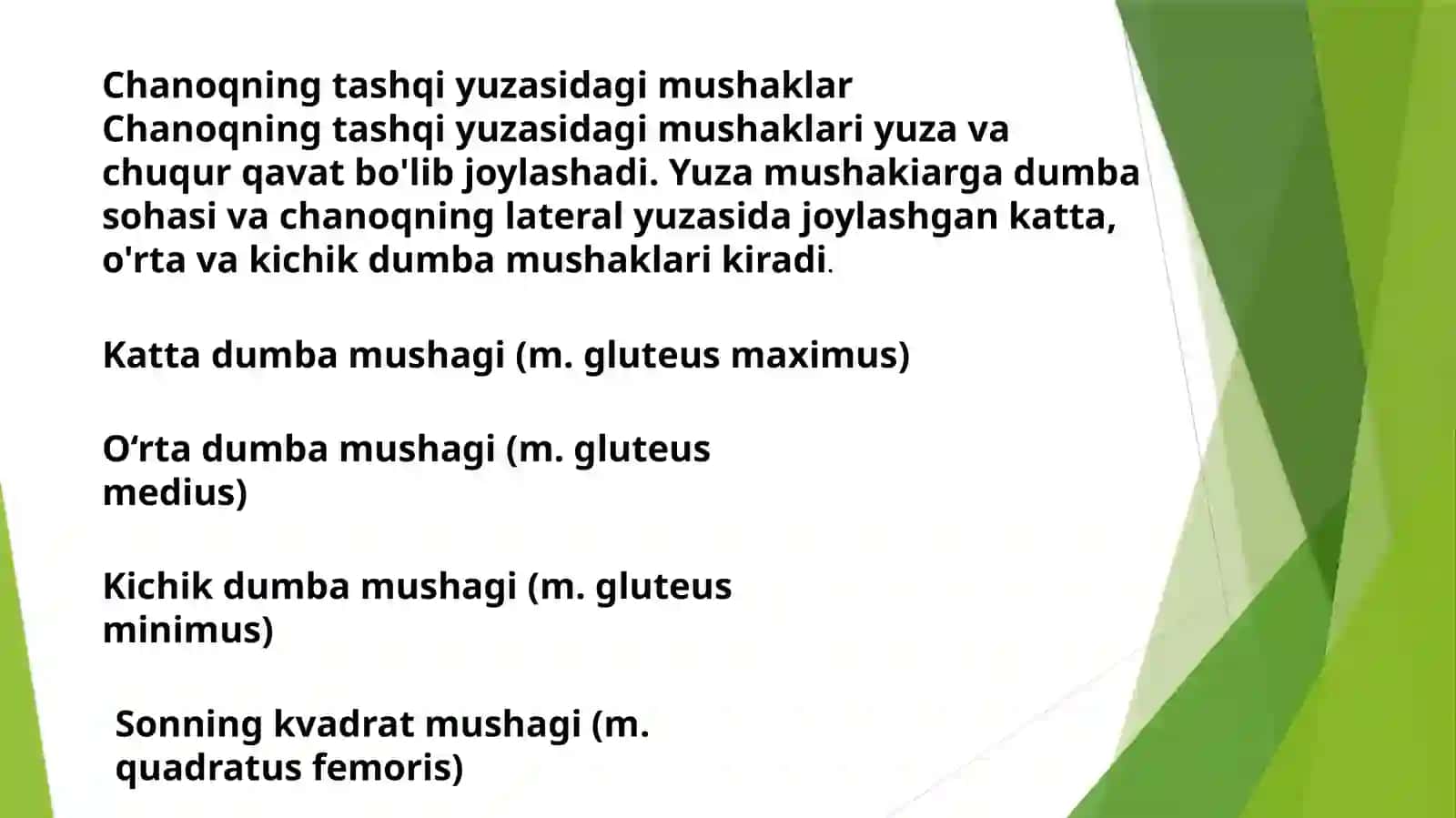Chanoqning tashqiy uzasida mushaklar 2