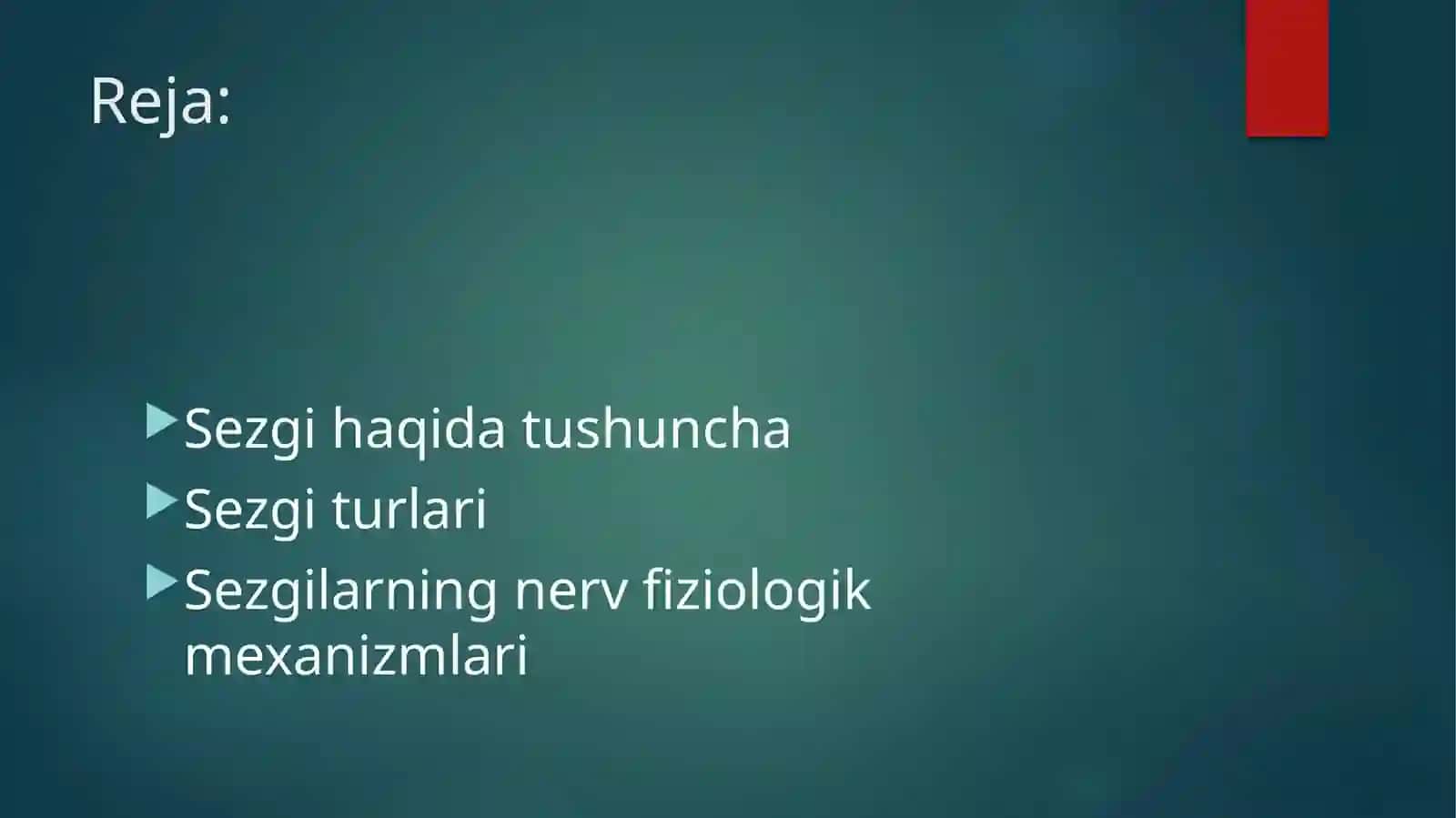 Sezgi 2