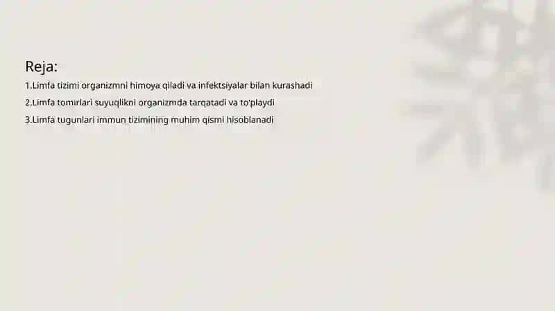 Limfa sistemasi 2