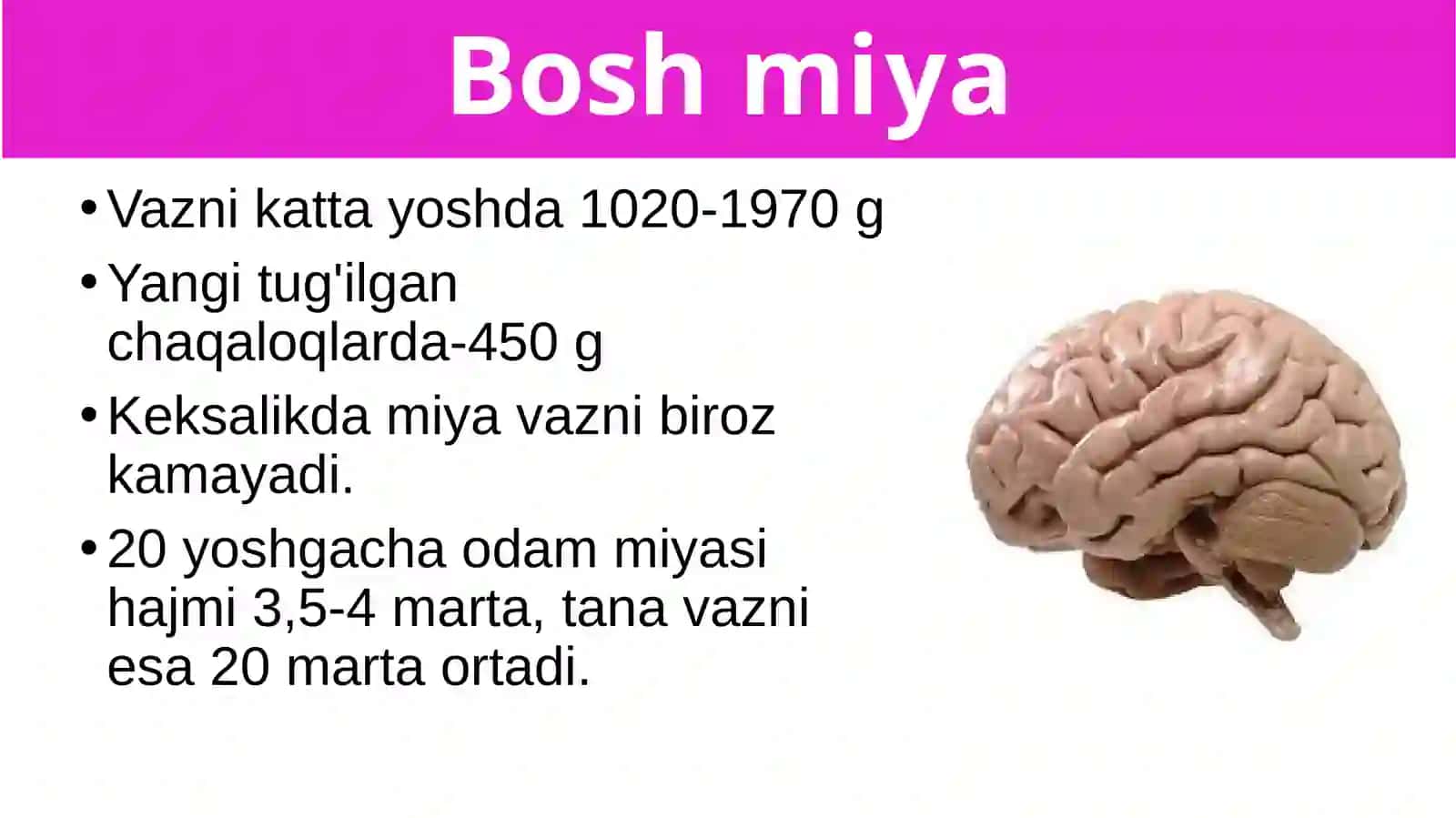 Boshmiyaningtuzilishivafunksiyasi 2