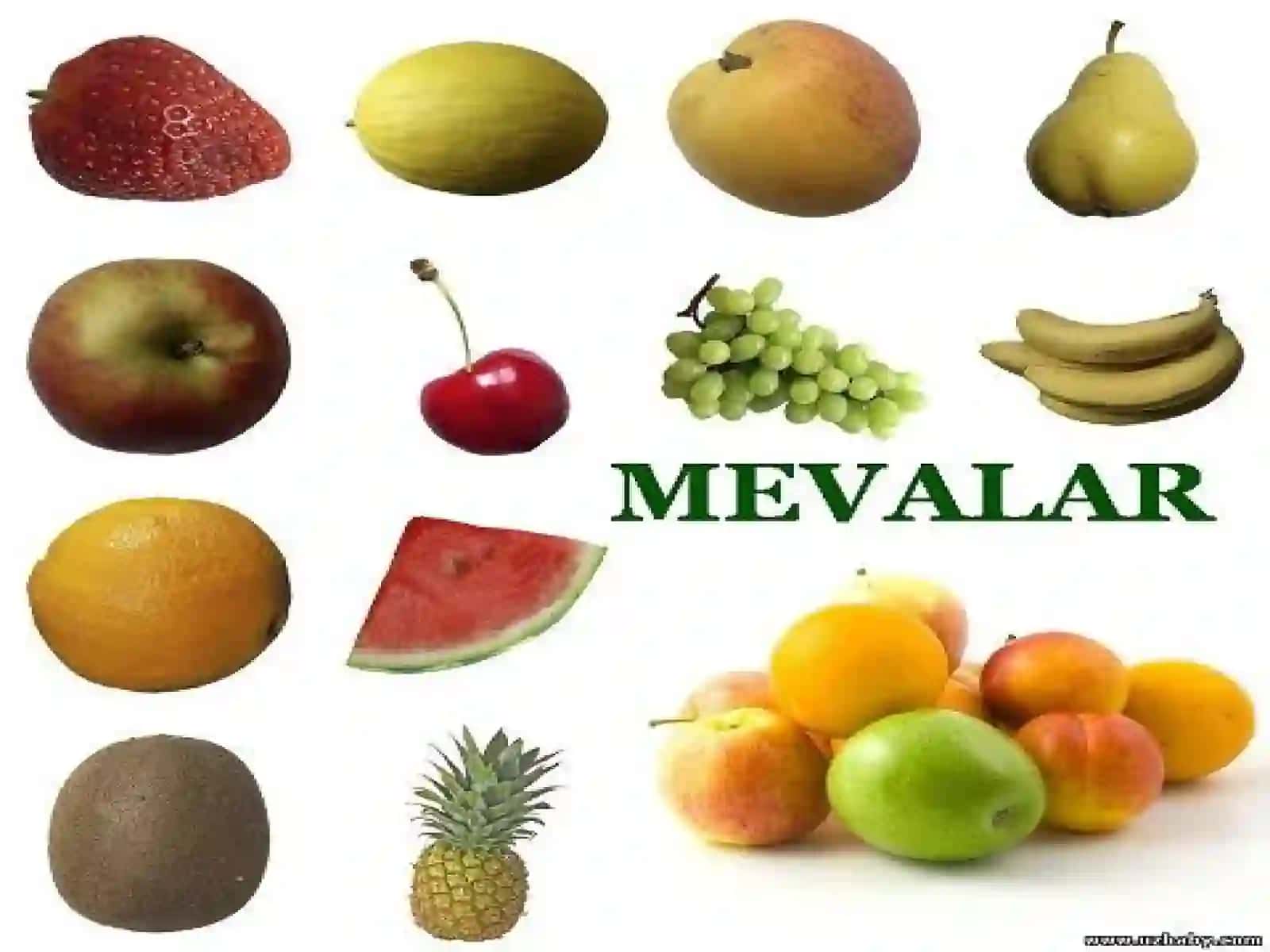 Meva 2