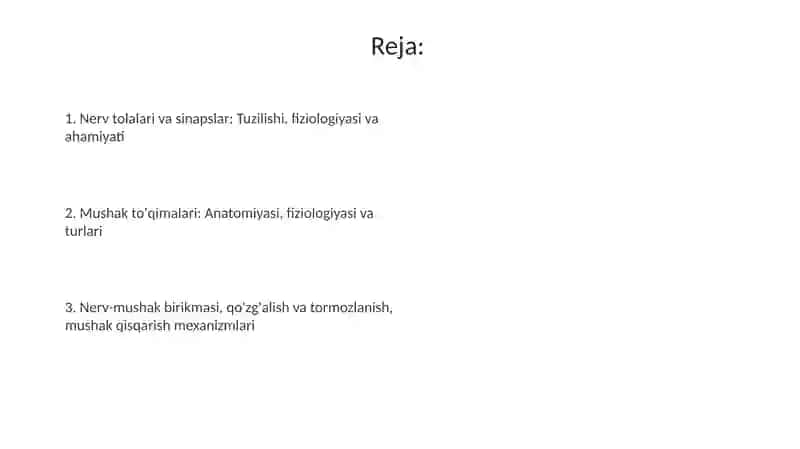Nerv tolalari sinapis va muskul toqimalari fiziologiyasi va anatomiyasi 2