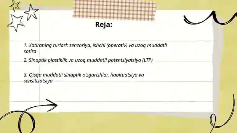 Funktsional mexanizlar va xotira. Odam va hayvon fizilogiyasidan 2