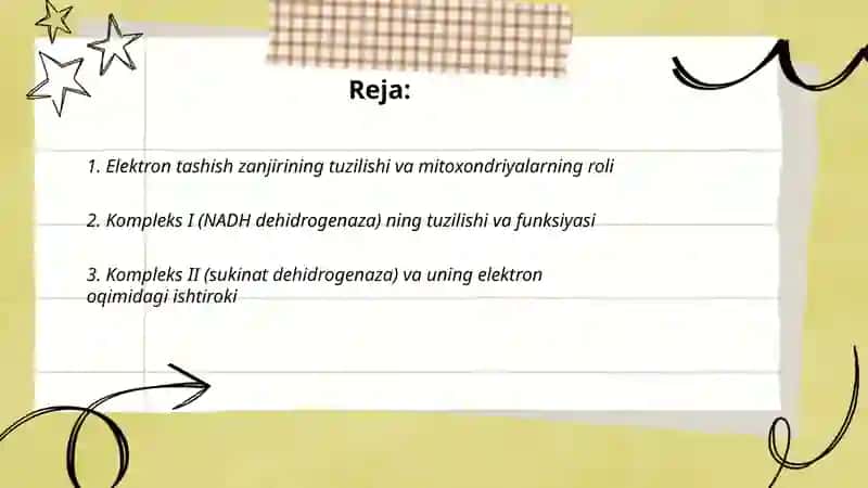 Nafas olish zanjiri.Makroenergetik birikmalaming sintezi 2